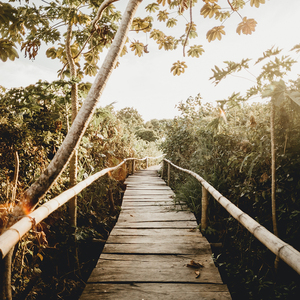 草莓视频在线观看视频在线
