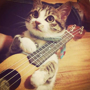 草莓视频在线观看视频在线
