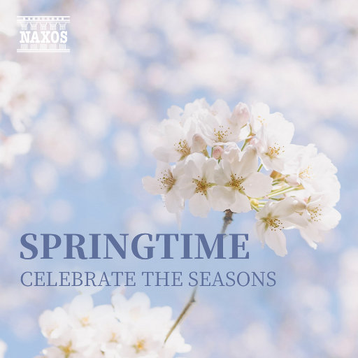 草莓视频在线观看视频在线
